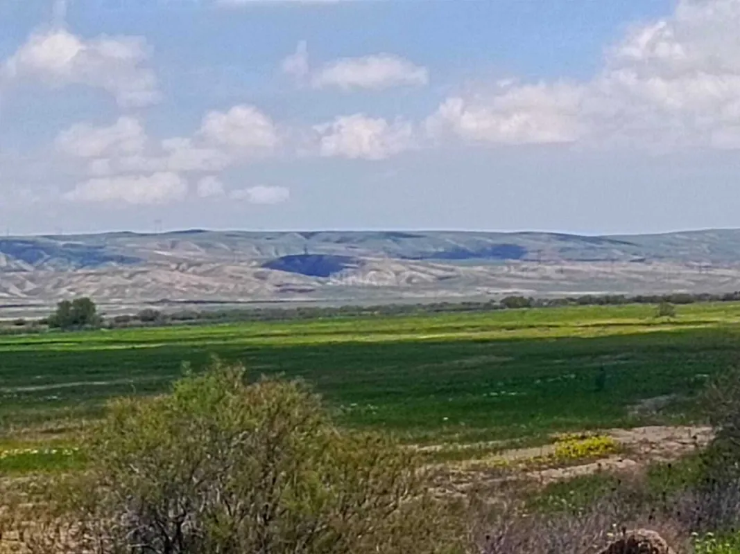 Satılır torpaq sahəsi 25000 m²