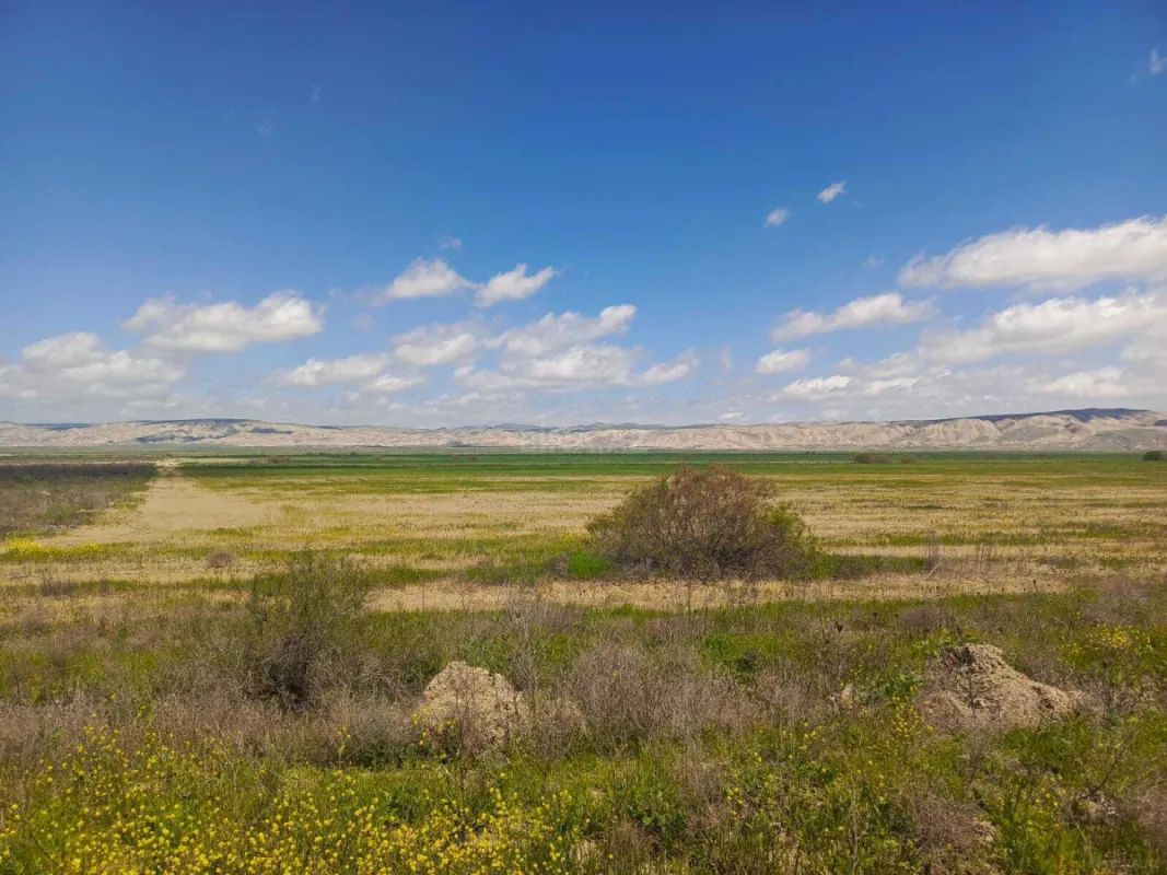 Satılır torpaq sahəsi 25000 m²