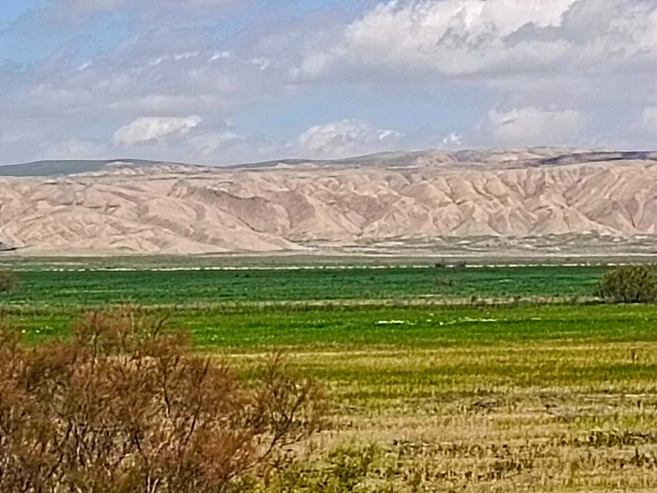 Satılır torpaq sahəsi 25000 m²