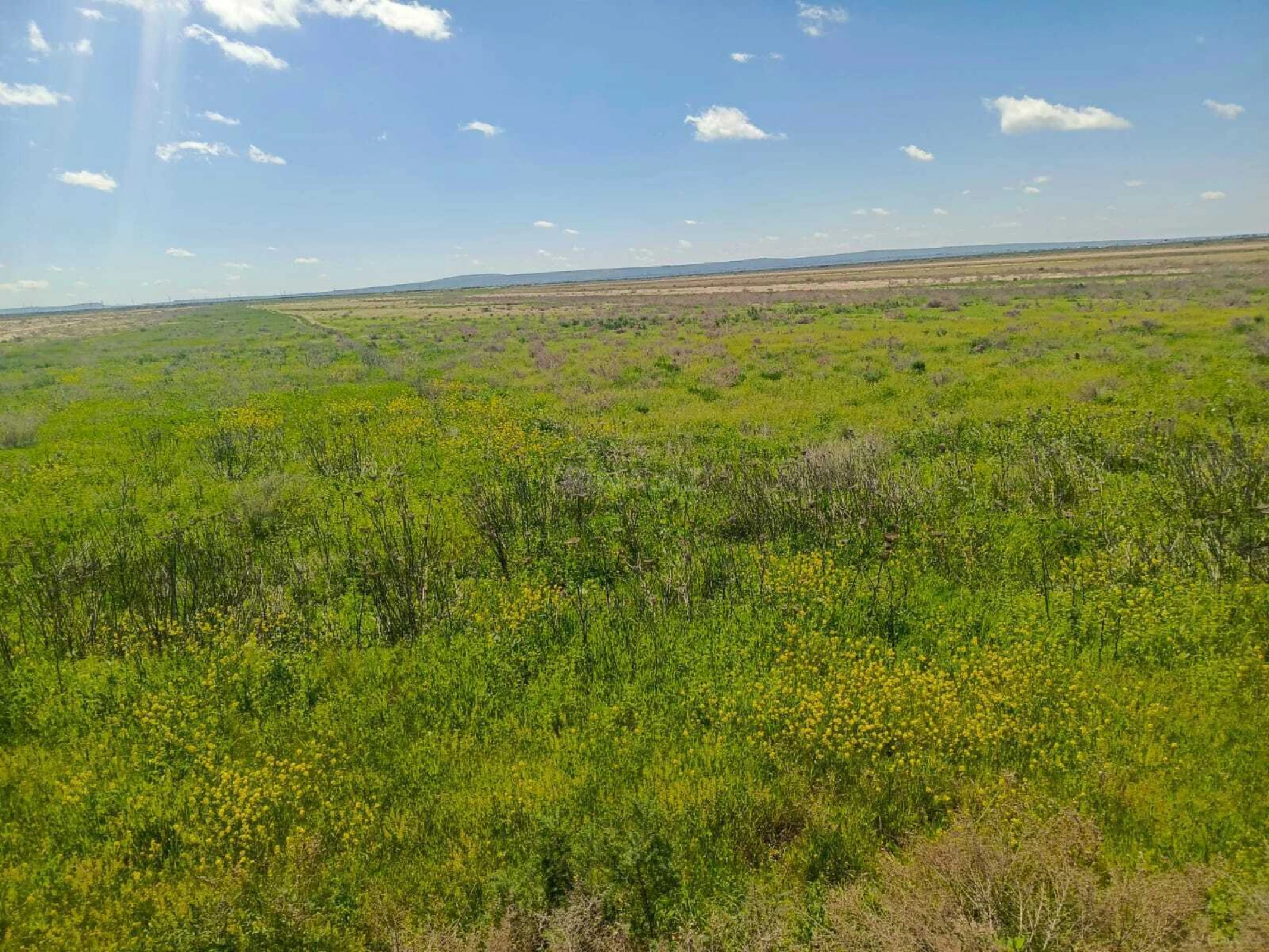 Satılır torpaq sahəsi 25000 m²