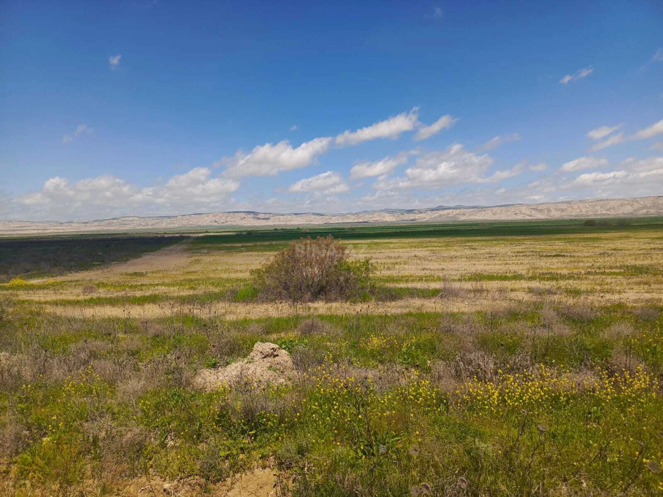 Satılır torpaq sahəsi 25000 m²