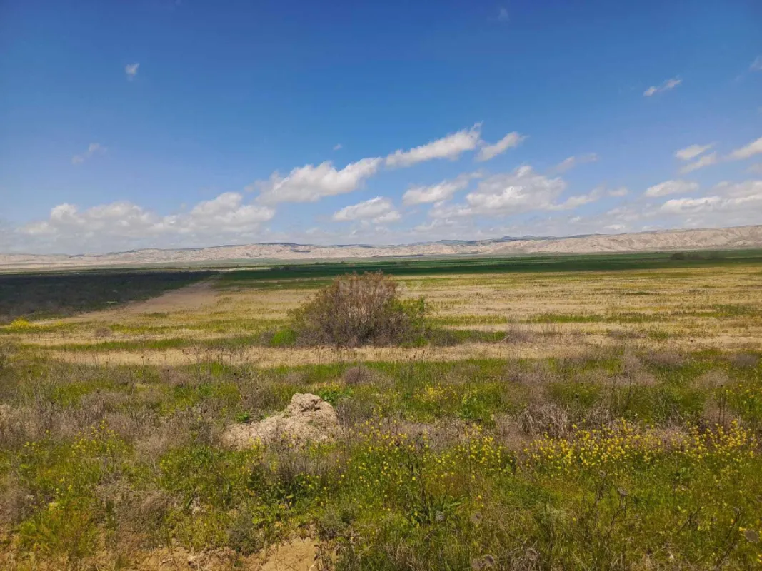 Satılır torpaq sahəsi 25000 m²