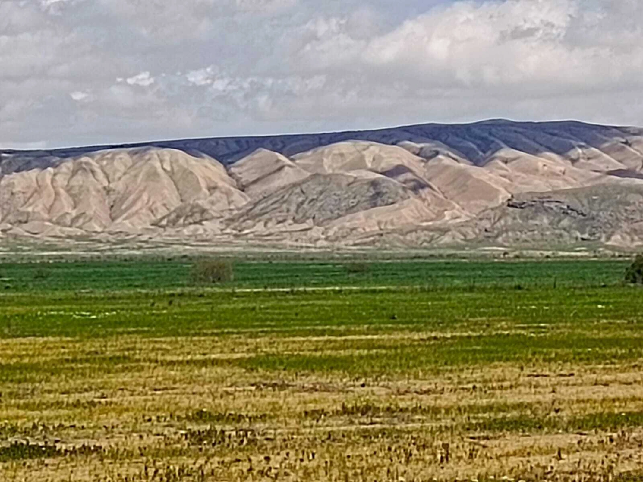 Satılır torpaq sahəsi 25000 m²