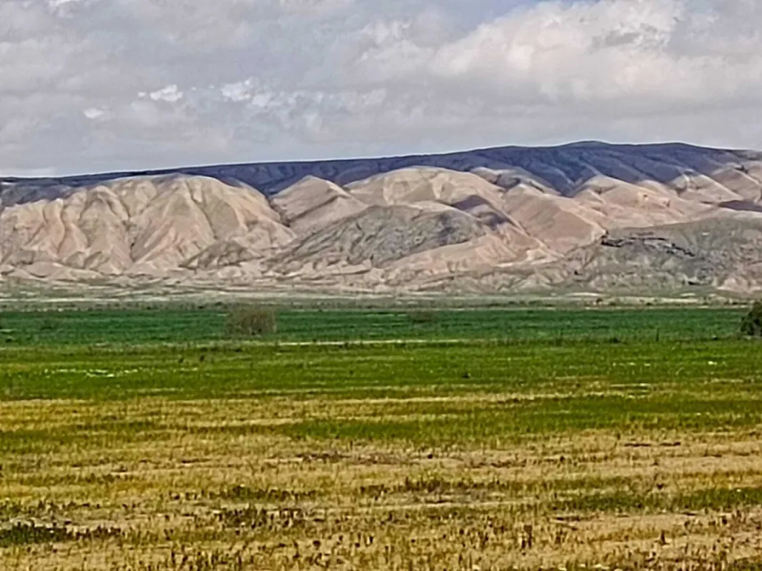Satılır torpaq sahəsi 25000 m²