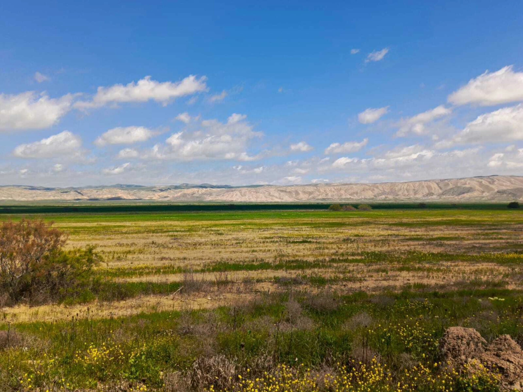 Satılır torpaq sahəsi 25000 m²