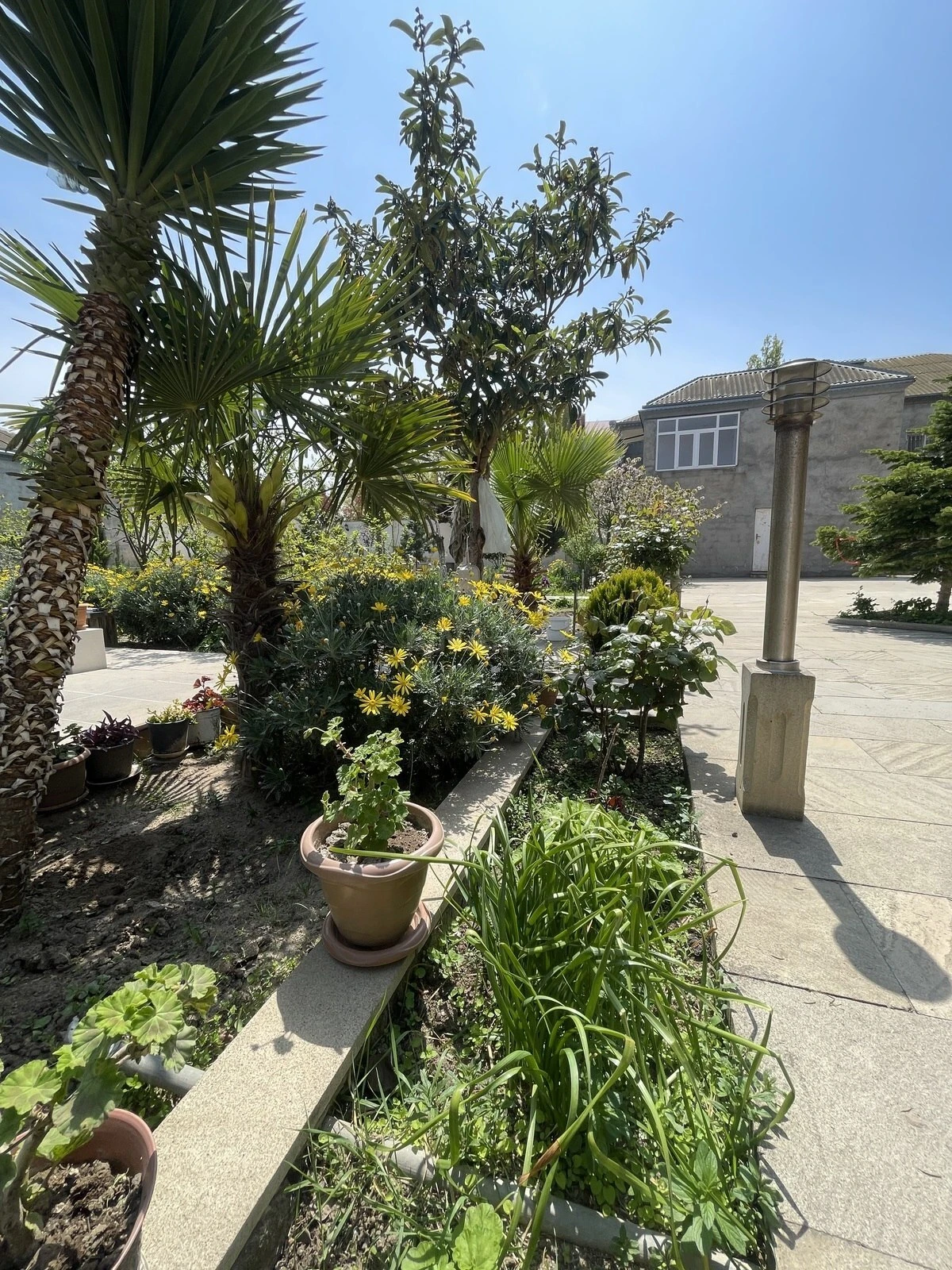 Kirayə verilir 6 otaqlı həyət evi 350 m²