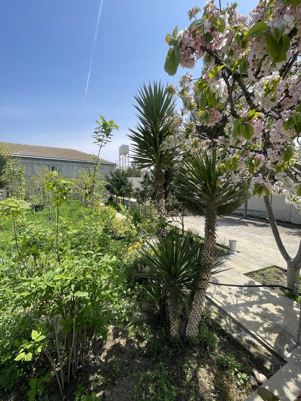 Kirayə verilir 6 otaqlı həyət evi 350 m²