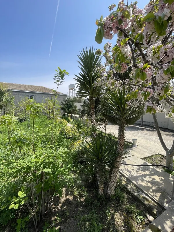 Kirayə verilir 6 otaqlı həyət evi 350 m²