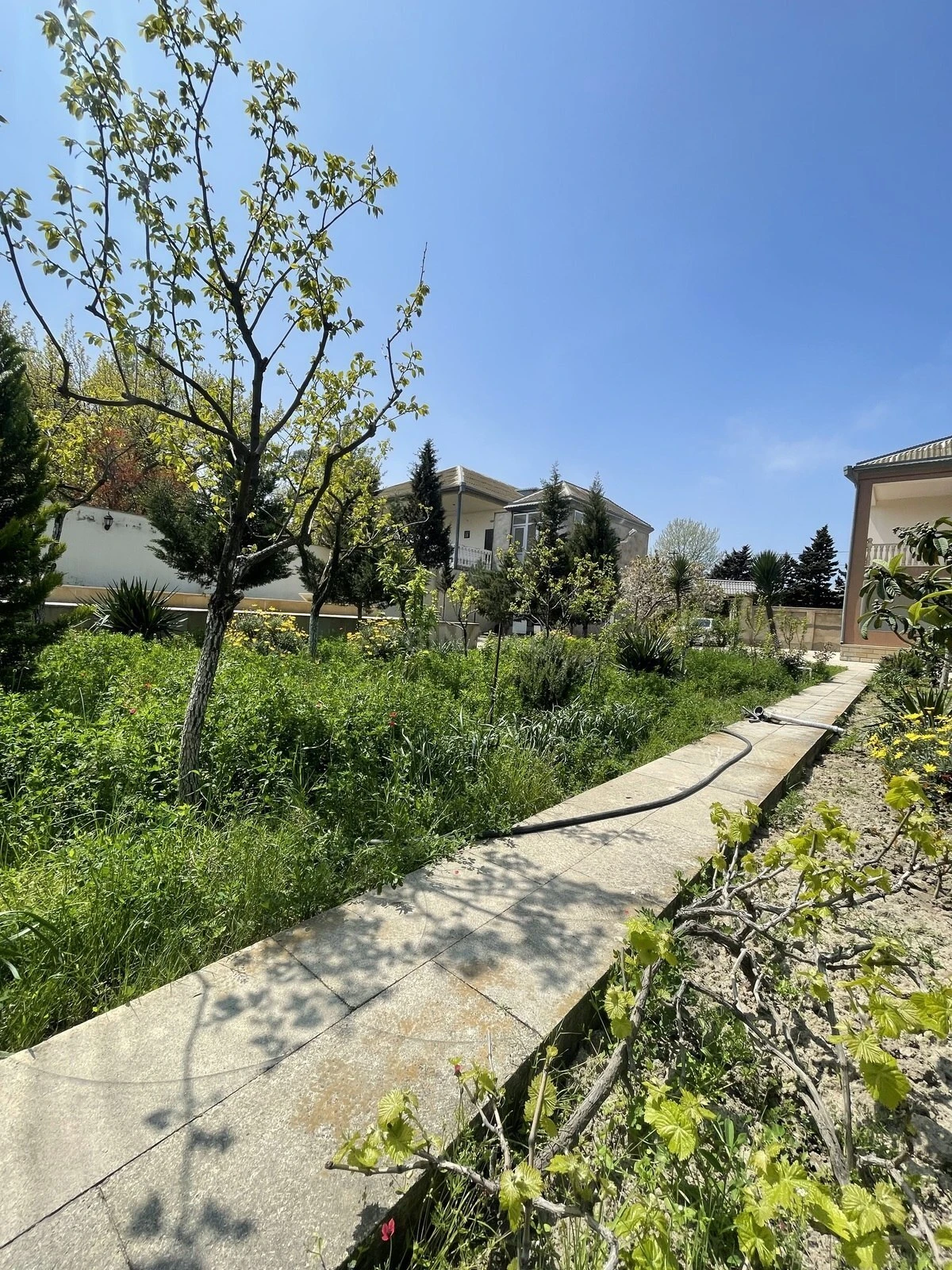 Kirayə verilir 6 otaqlı həyət evi 350 m²