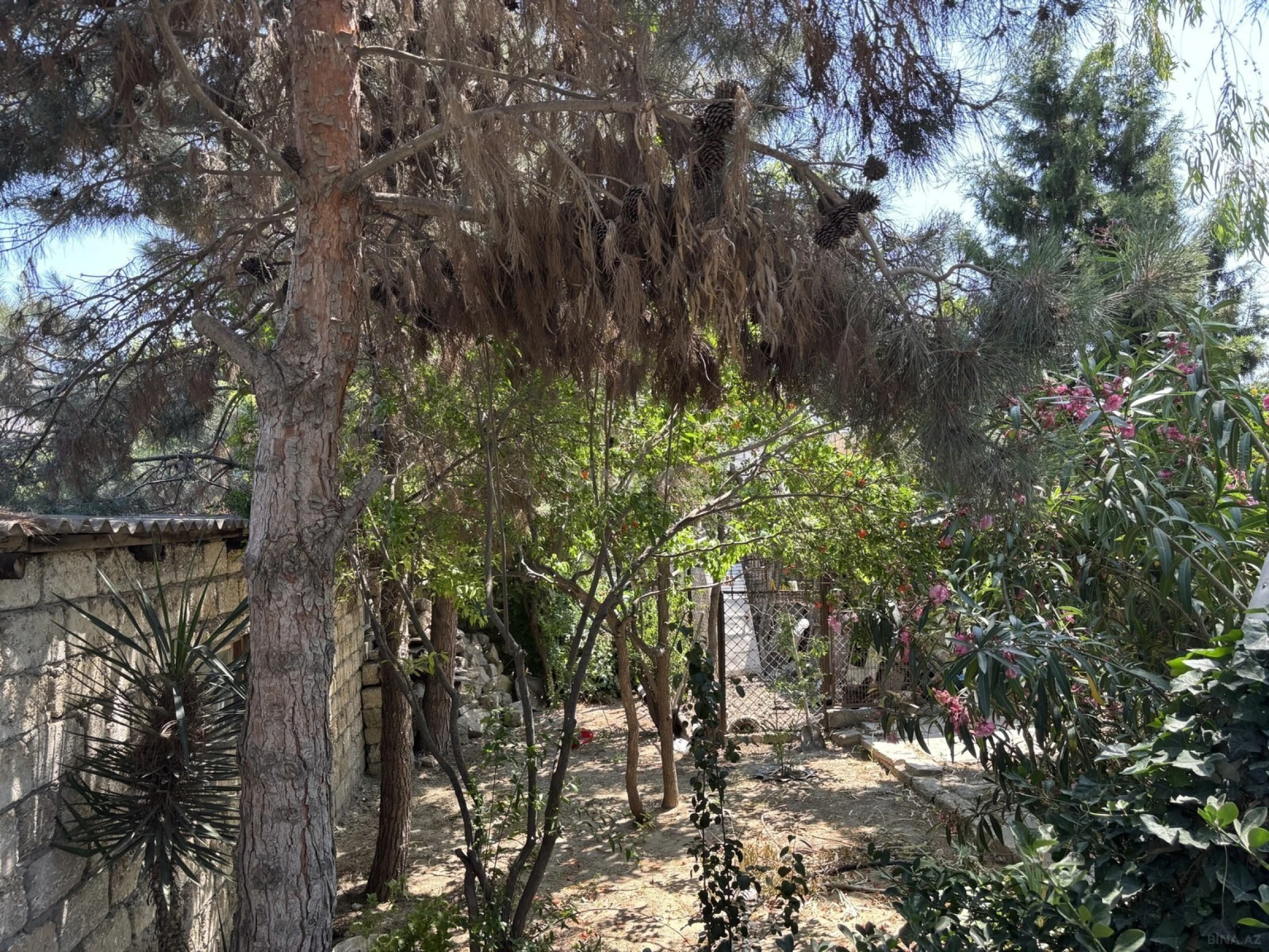 Kirayə verilir 4 otaqlı həyət evi 150 m²