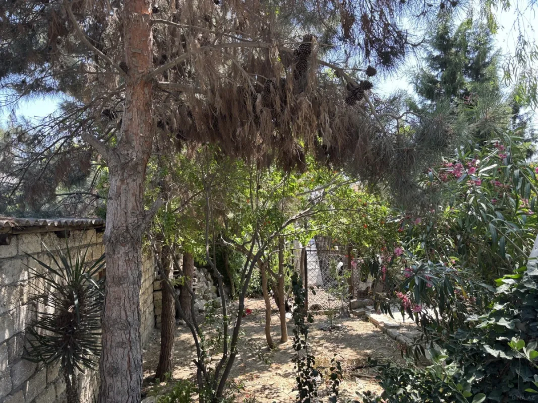 Kirayə verilir 4 otaqlı həyət evi 150 m²