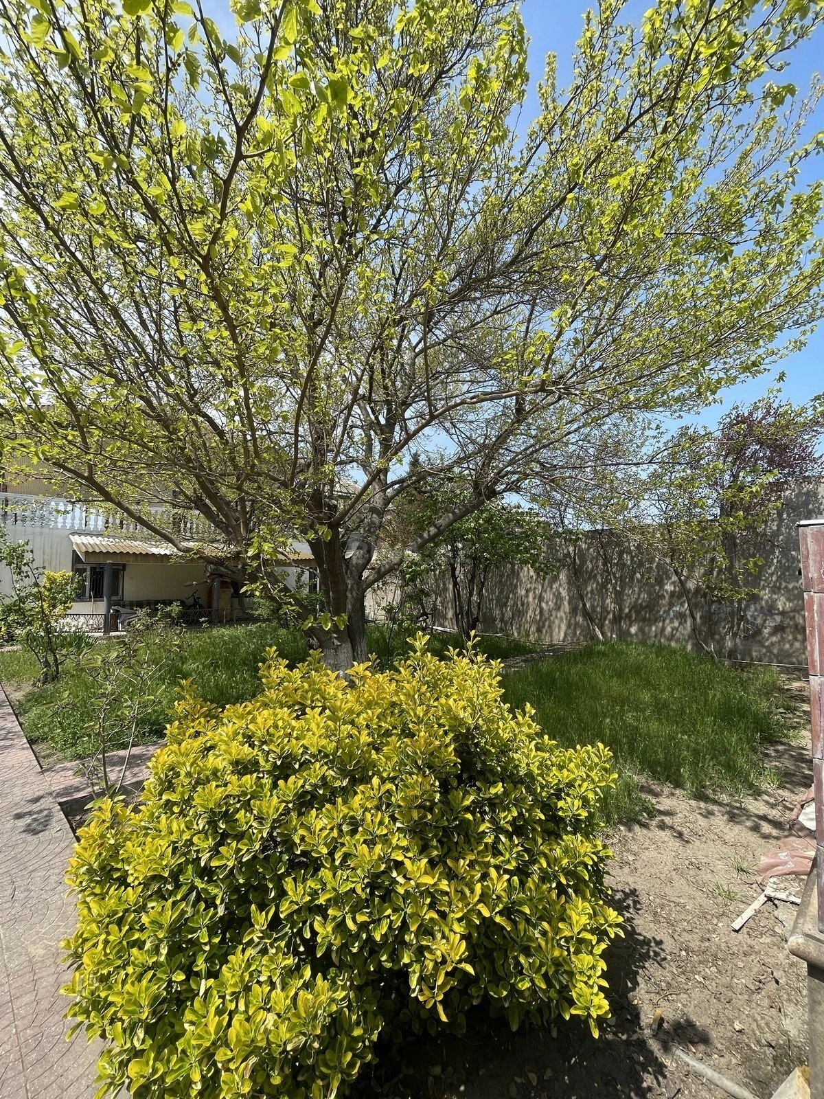 Satılır 7 otaqlı həyət evi 250 m²