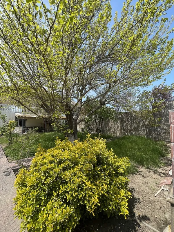 Satılır 7 otaqlı həyət evi 250 m²