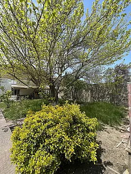 Satılır 7 otaqlı həyət evi 250 m²