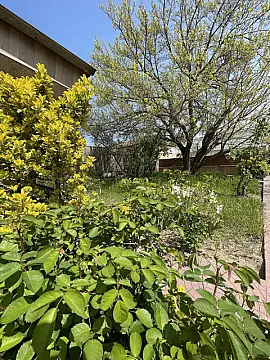 Satılır 7 otaqlı həyət evi 250 m²