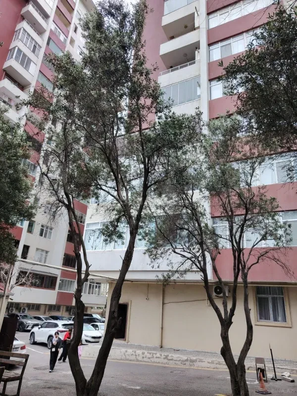 Satılır 2 otaqlı mənzil 102 m²