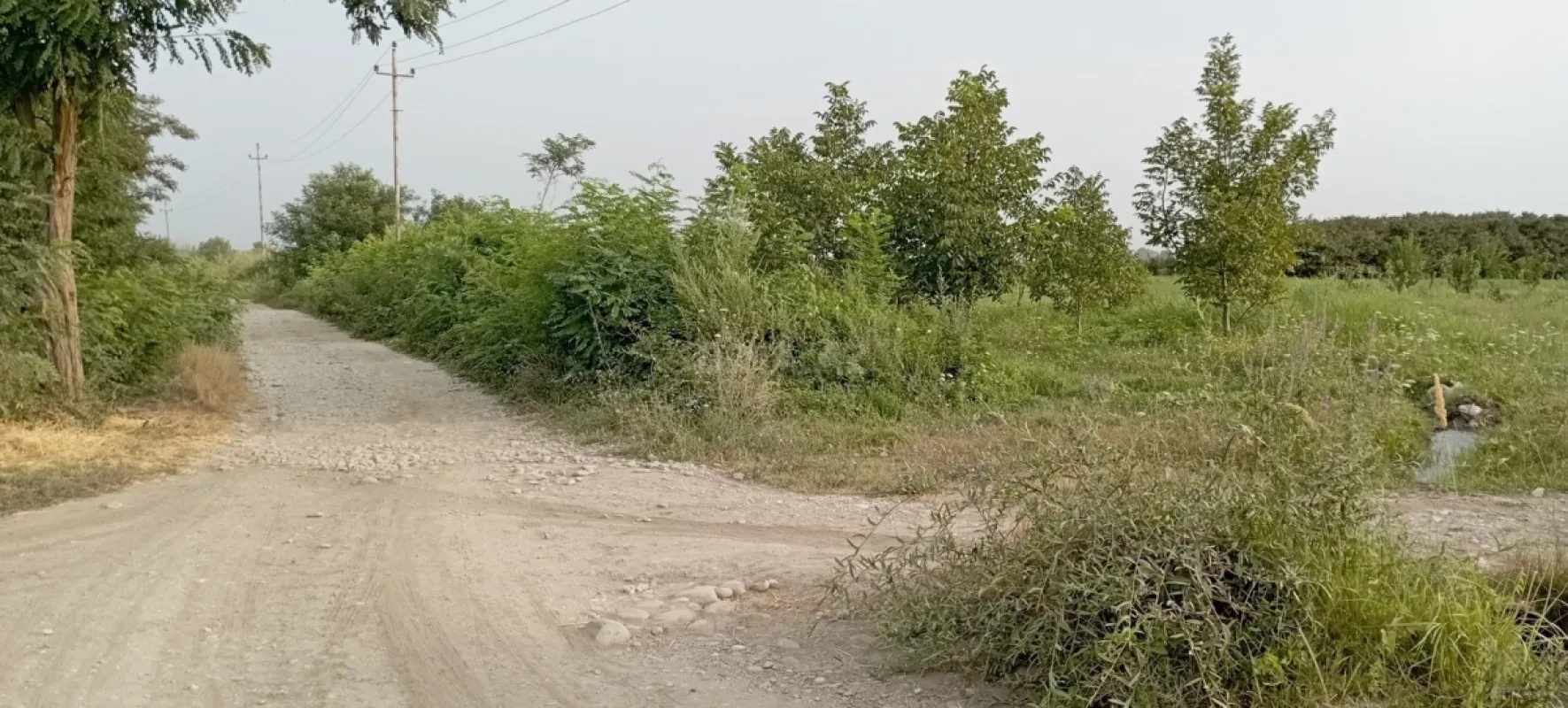 Satılır torpaq sahəsi 120 m²