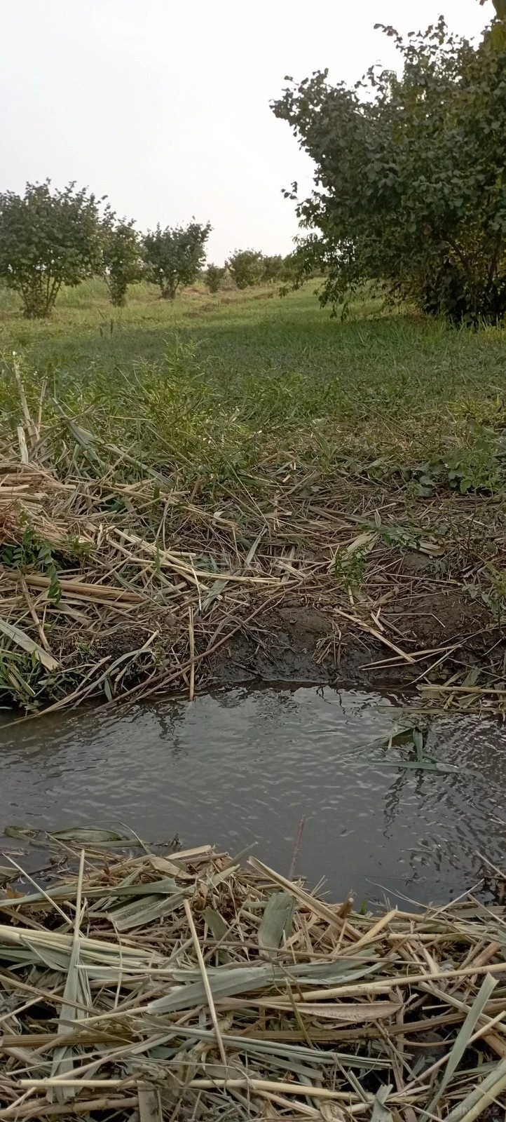 Satılır torpaq sahəsi 120 m²