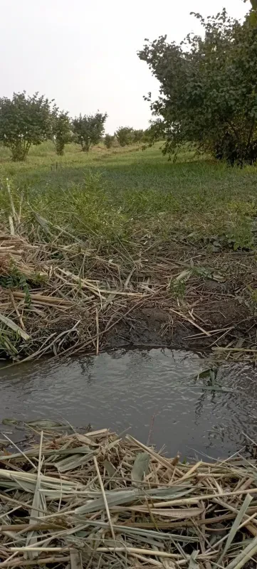 Satılır torpaq sahəsi 120 m²