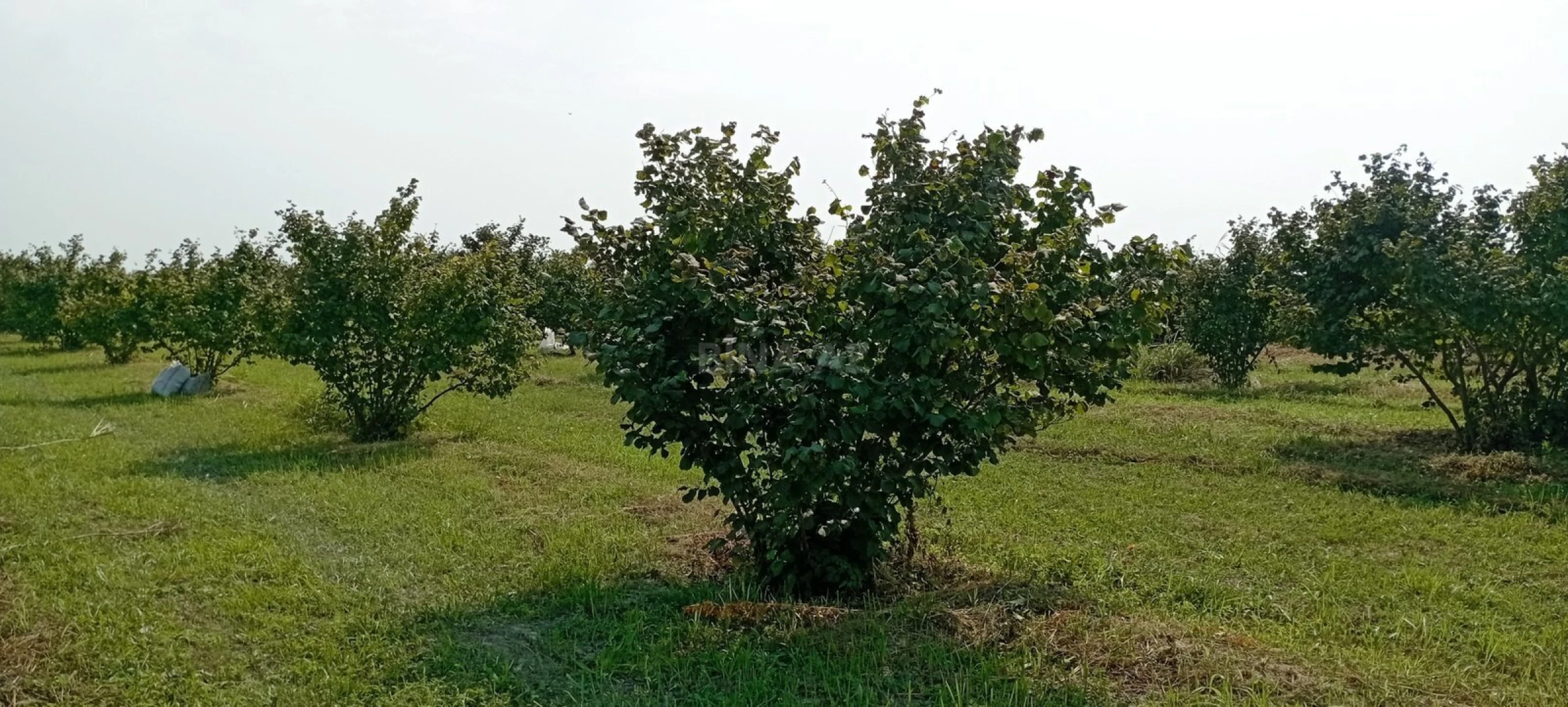 Satılır torpaq sahəsi 120 m²