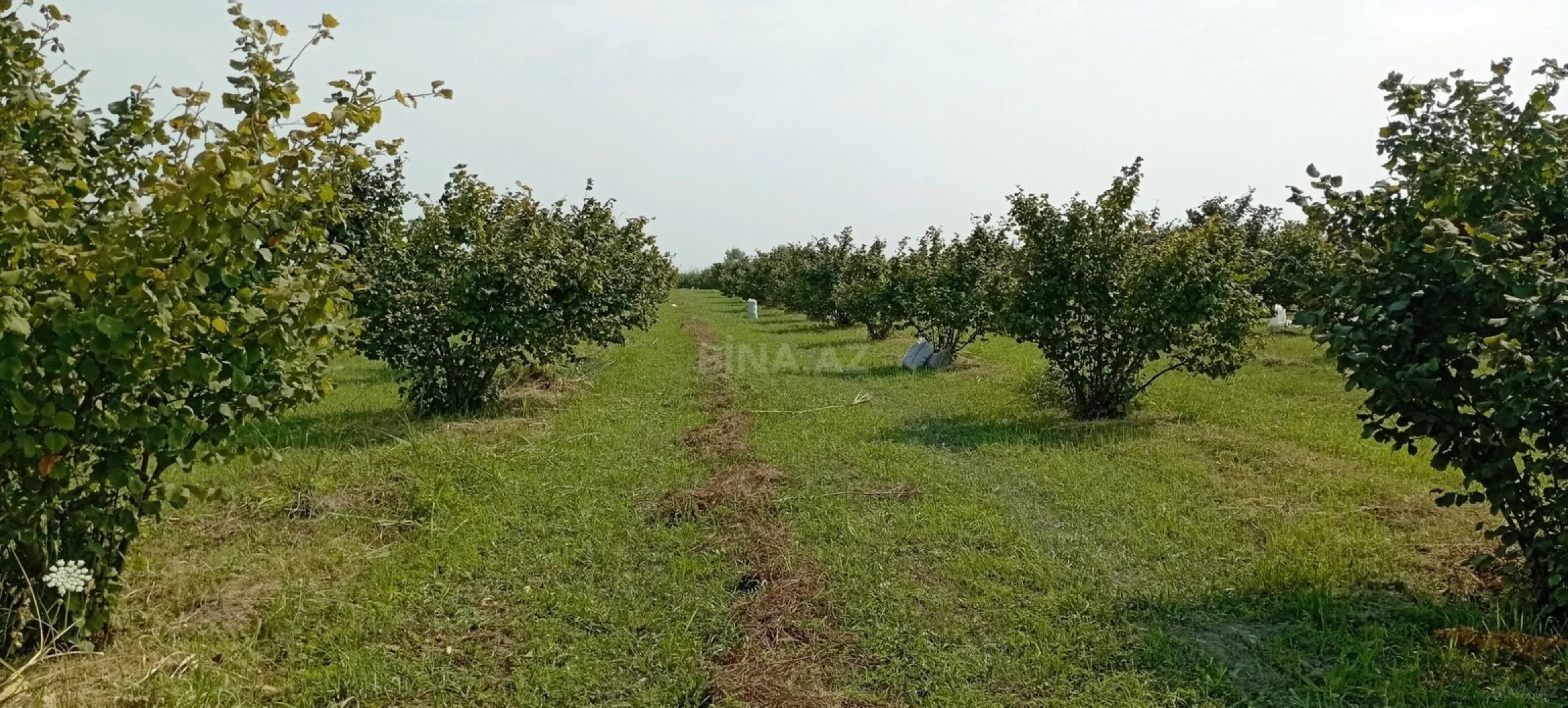 Satılır torpaq sahəsi 120 m²