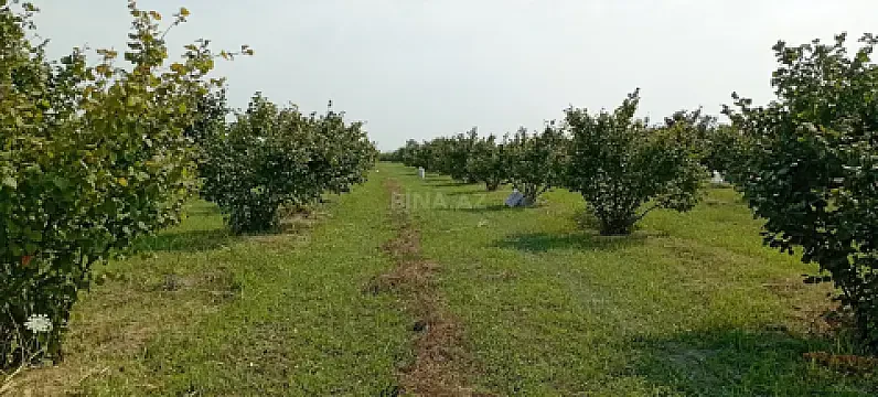 Satılır torpaq sahəsi 120 m²