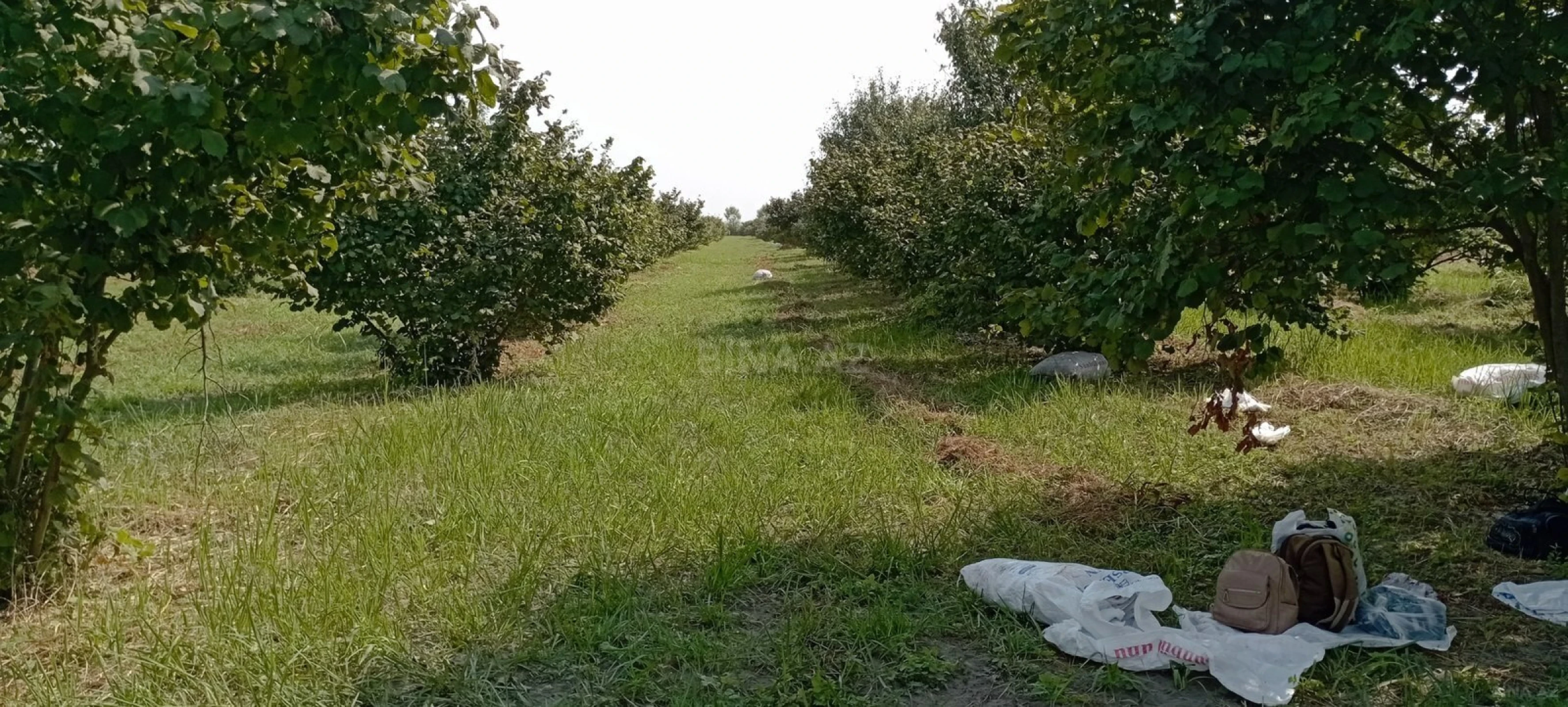 Satılır torpaq sahəsi 120 m²