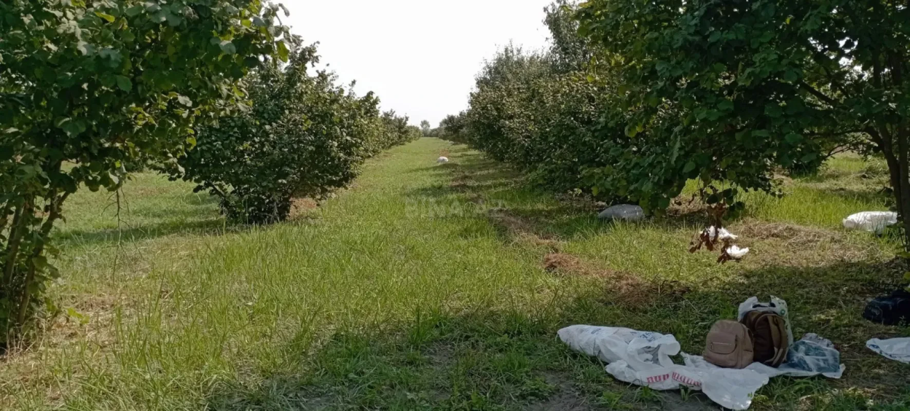 Satılır torpaq sahəsi 120 m²