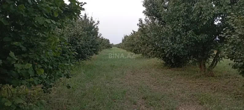 Satılır torpaq sahəsi 120 m²