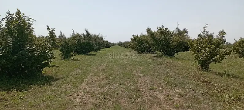 Satılır torpaq sahəsi 120 m²