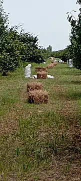 Satılır torpaq sahəsi 120 m²