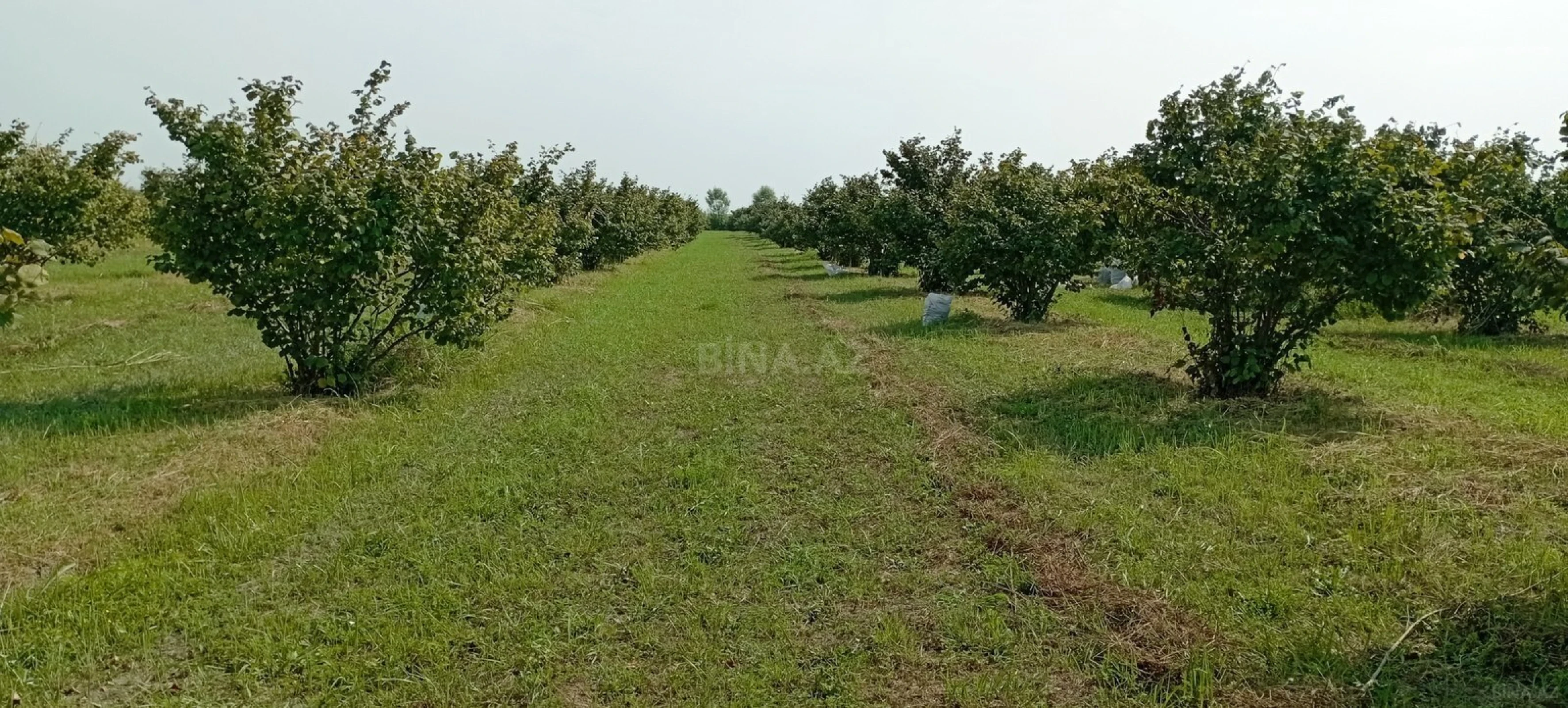 Satılır torpaq sahəsi 120 m²