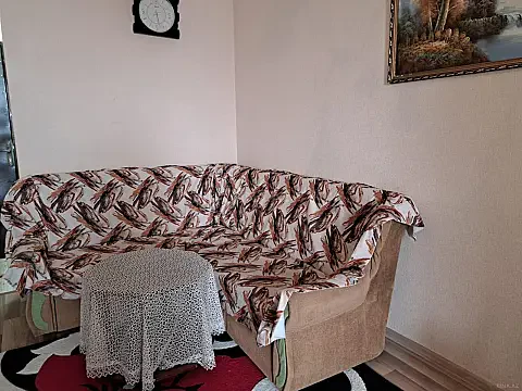 Kirayə verilir 2 otaqlı mənzil 55 m² — Bakı, Yeni Yasamal 2 otaq 55.00 m²