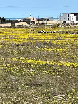 Satılır torpaq sahəsi 20 m² — Bakı, Xəzər 20.00 m²