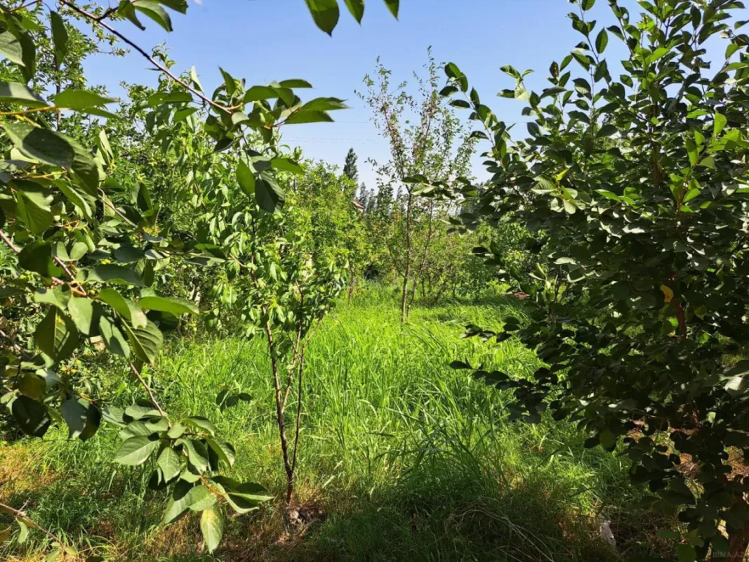 Satılır 2 otaqlı həyət evi 65 m²