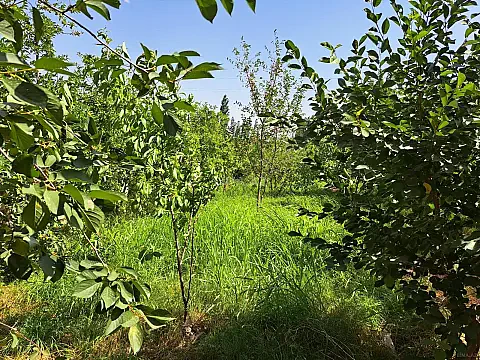 Satılır 2 otaqlı həyət evi 65 m²