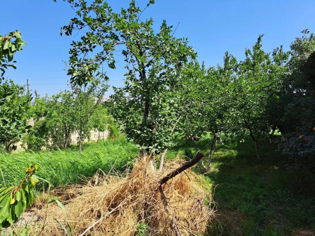 Satılır 2 otaqlı həyət evi 65 m²