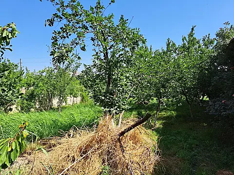 Satılır 2 otaqlı həyət evi 65 m² — Quba 2 otaq 65.00 m²