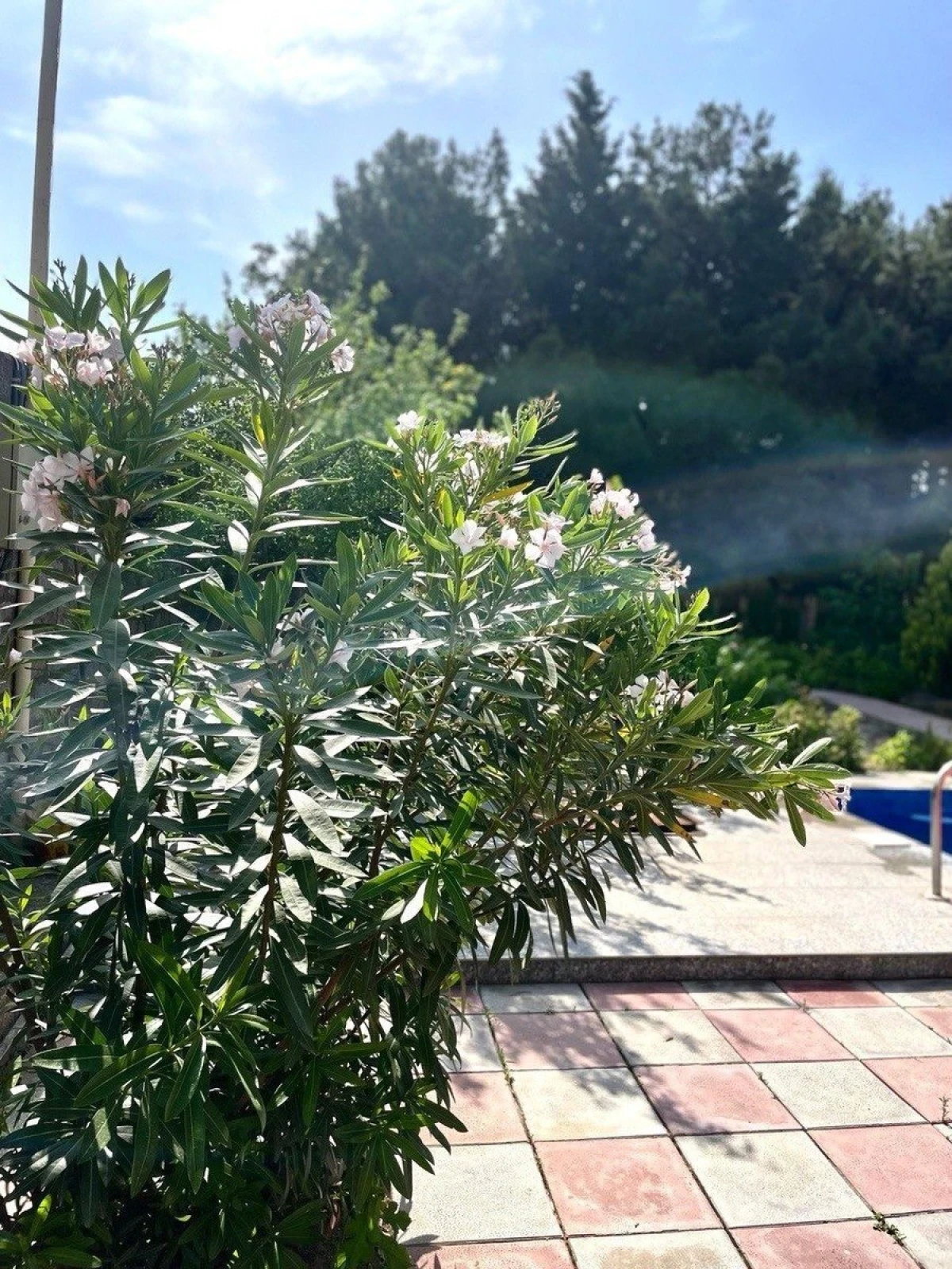 Satılır 3 otaqlı həyət evi 950 m²