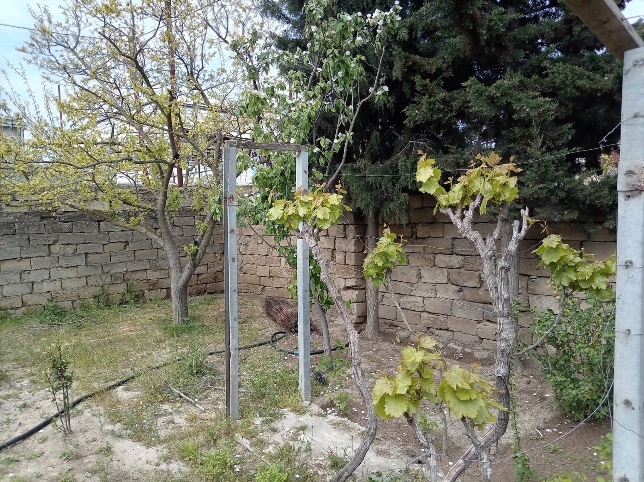 Satılır torpaq sahəsi 4 m²