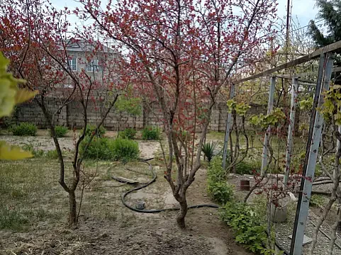 Satılır torpaq sahəsi 4 m² — Bakı, Mərdəkan 4.00 m²