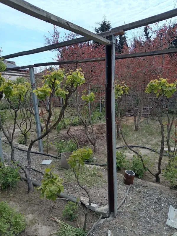 Satılır torpaq sahəsi 4 m²