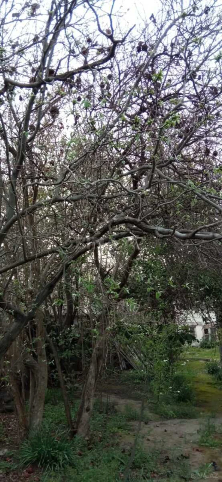 Satılır 5 otaqlı həyət evi 114 m²