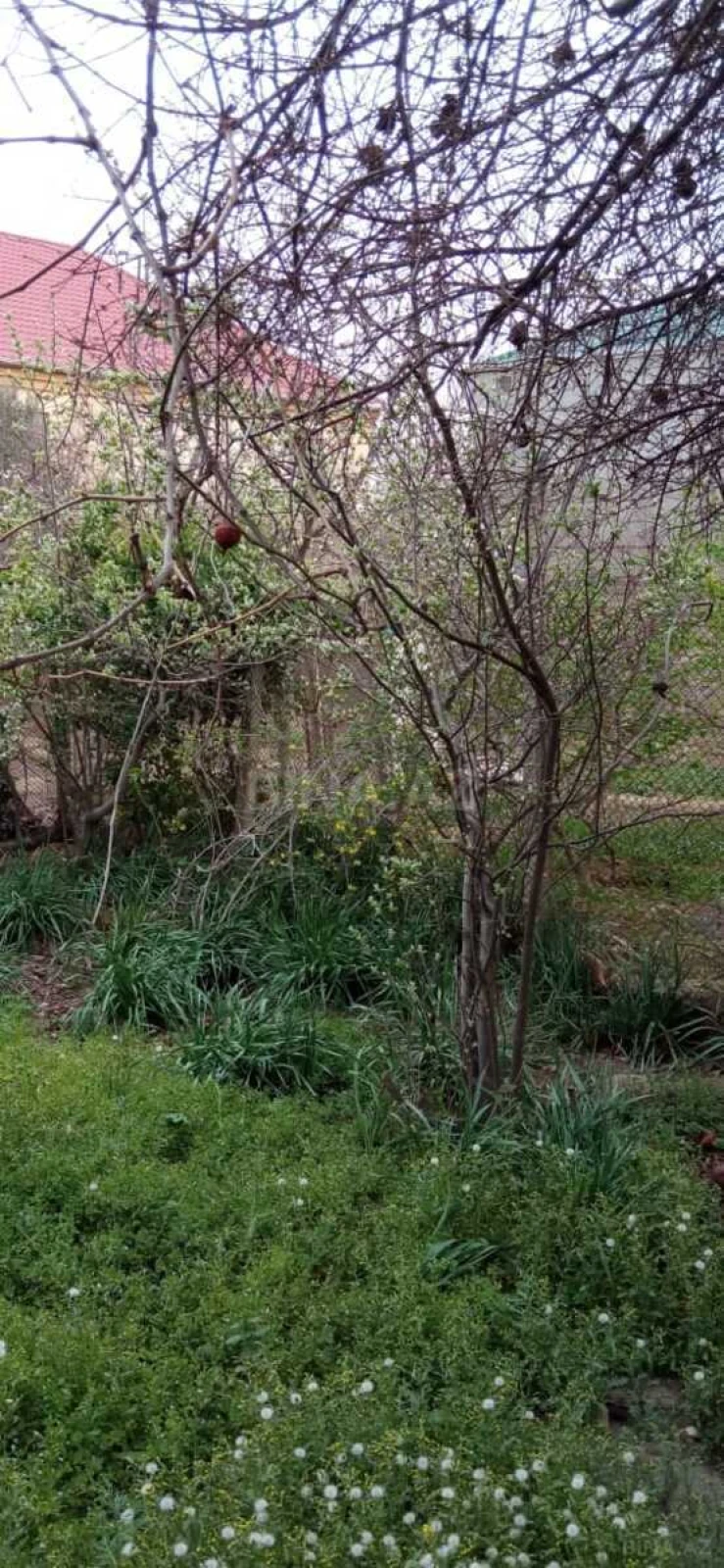Satılır 5 otaqlı həyət evi 114 m²