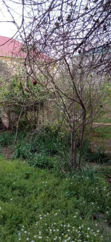Satılır 5 otaqlı həyət evi 114 m²