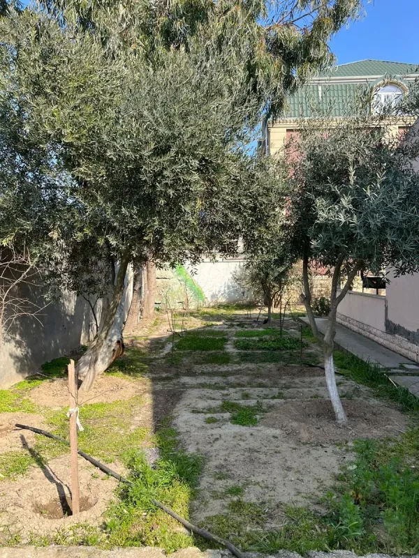 Satılır 3 otaqlı həyət evi 100 m²