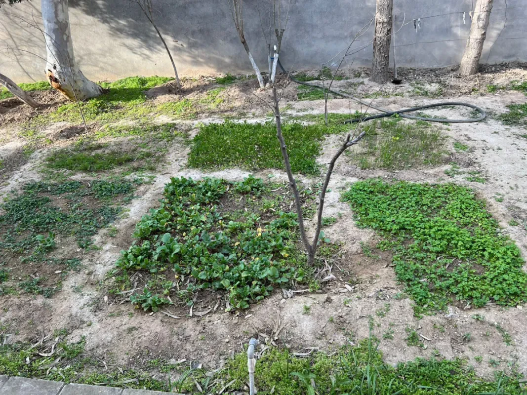 Satılır 3 otaqlı həyət evi 100 m²