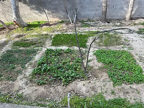 Satılır 3 otaqlı həyət evi 100 m²