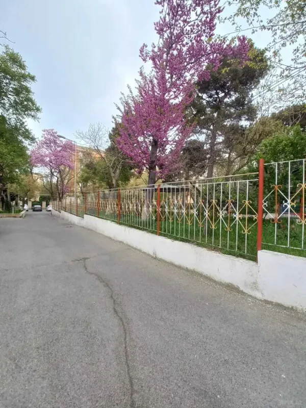 Satılır 3 otaqlı mənzil 105 m²