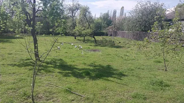 Satılır torpaq sahəsi 30 m² — İsmayıllı 30.00 m²